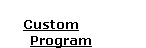 Custom      Program